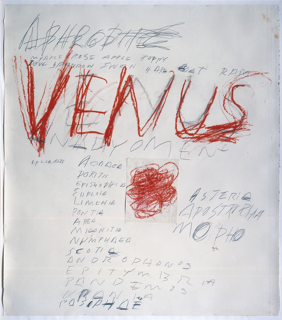 Venus 1975 Collection Cy Twombly Foundation  Cy Twombly Foundation (photo Mimmo Capone)
