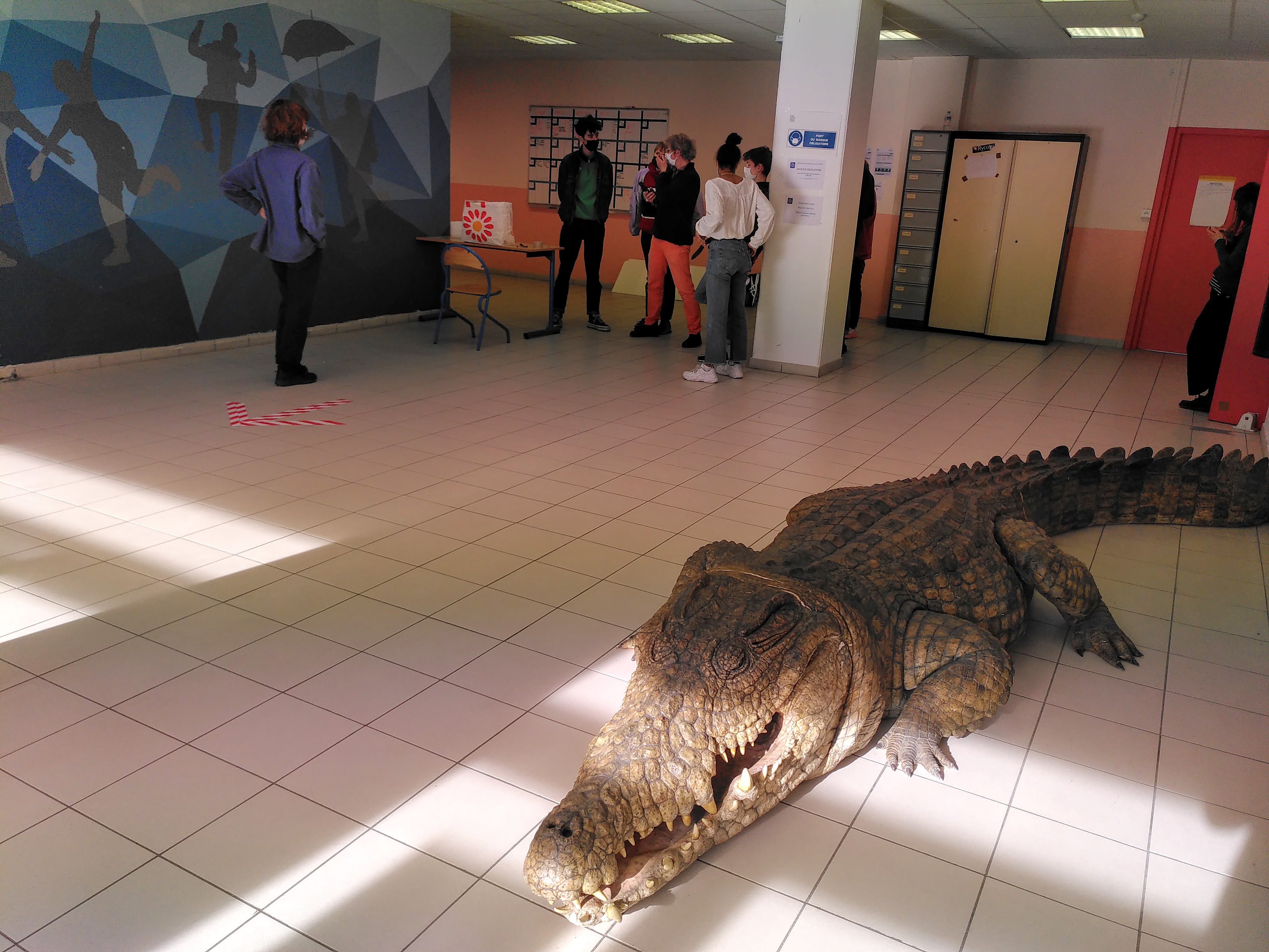 Le crocodile au premier plan est une star, il a joué avec Olivier Gourmet ©VR