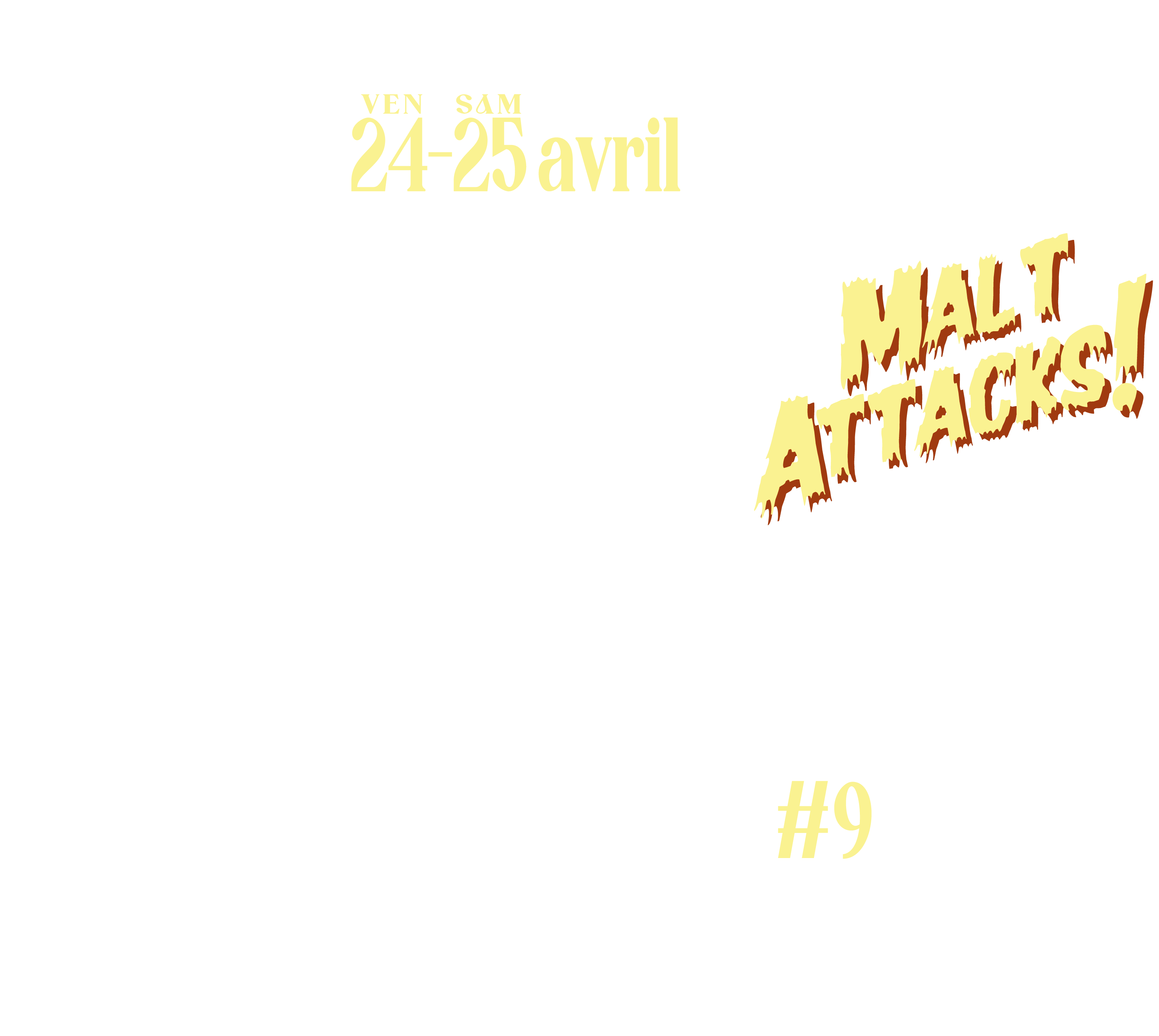Lyon Bière Festival
