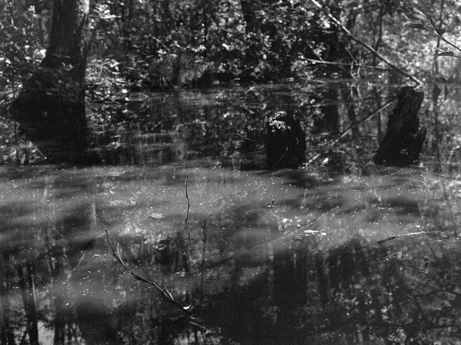 350472710_642284050688918_3081694921335620945_n.jpg APAX © Valérie Gaillard