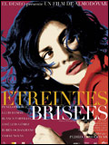 treintes brises - affiche du film