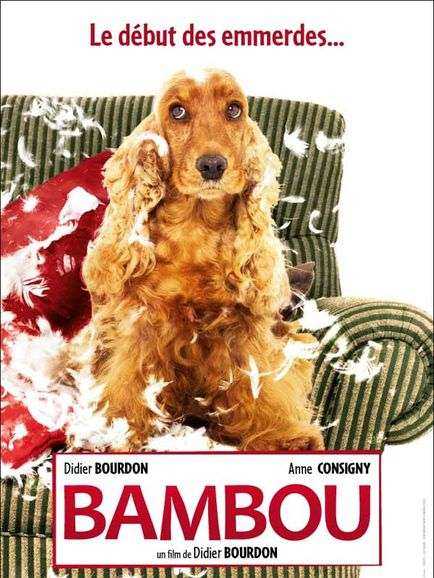 Bambou - affiche du film