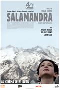 Salamandra - affiche du film
