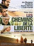 Les Chemins de la libert - affiche du film
