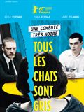 Tous les chats sont gris - affiche du film