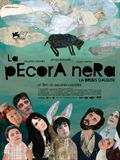 La Pecora nera - affiche du film