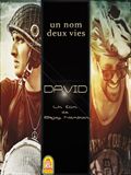 David - affiche du film