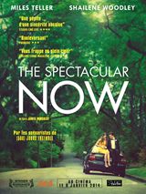 The Spectacular Now - affiche du film