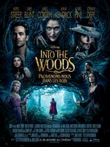 Into the woods, promenons-nous dans les bois - affiche du film