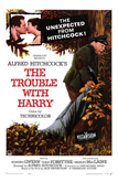 Mais...qui a tu Harry ? - affiche du film