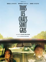 Tous les Chats sont gris - affiche du film