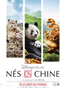 Ns en Chine - affiche du film