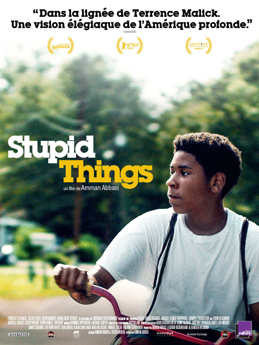 Stupid Things - affiche du film