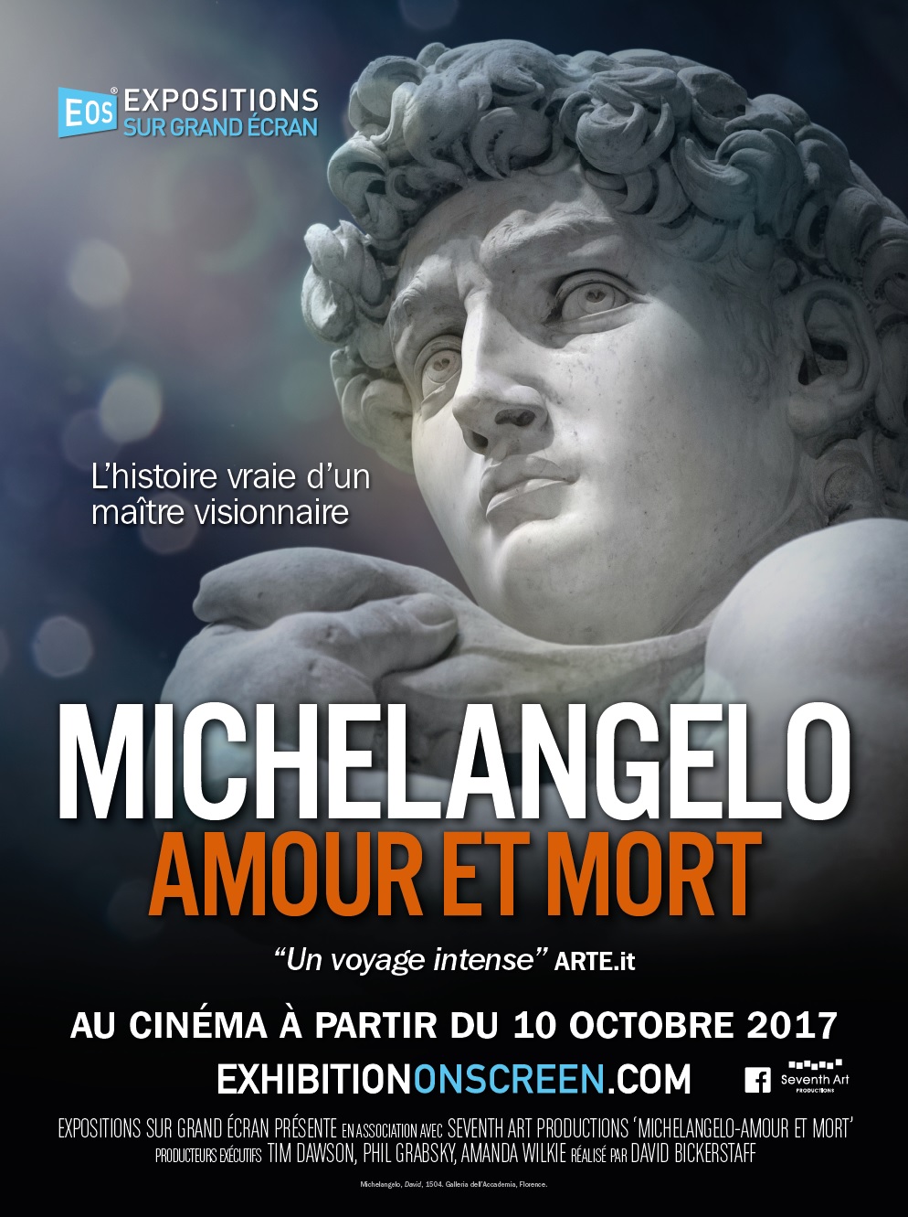 Michelangelo - Amour et mort - affiche du film