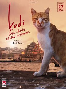 Kedi - Des chats et des hommes - affiche du film