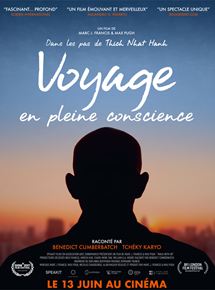 Voyage en pleine conscience - affiche du film