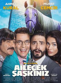 Ailecek Saskiniz - affiche du film
