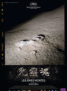Les mes mortes - Partie 1 - affiche du film