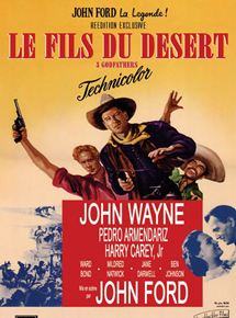 Le Fils du Dsert - affiche du film