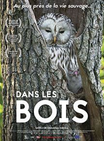 Dans les bois - affiche du film