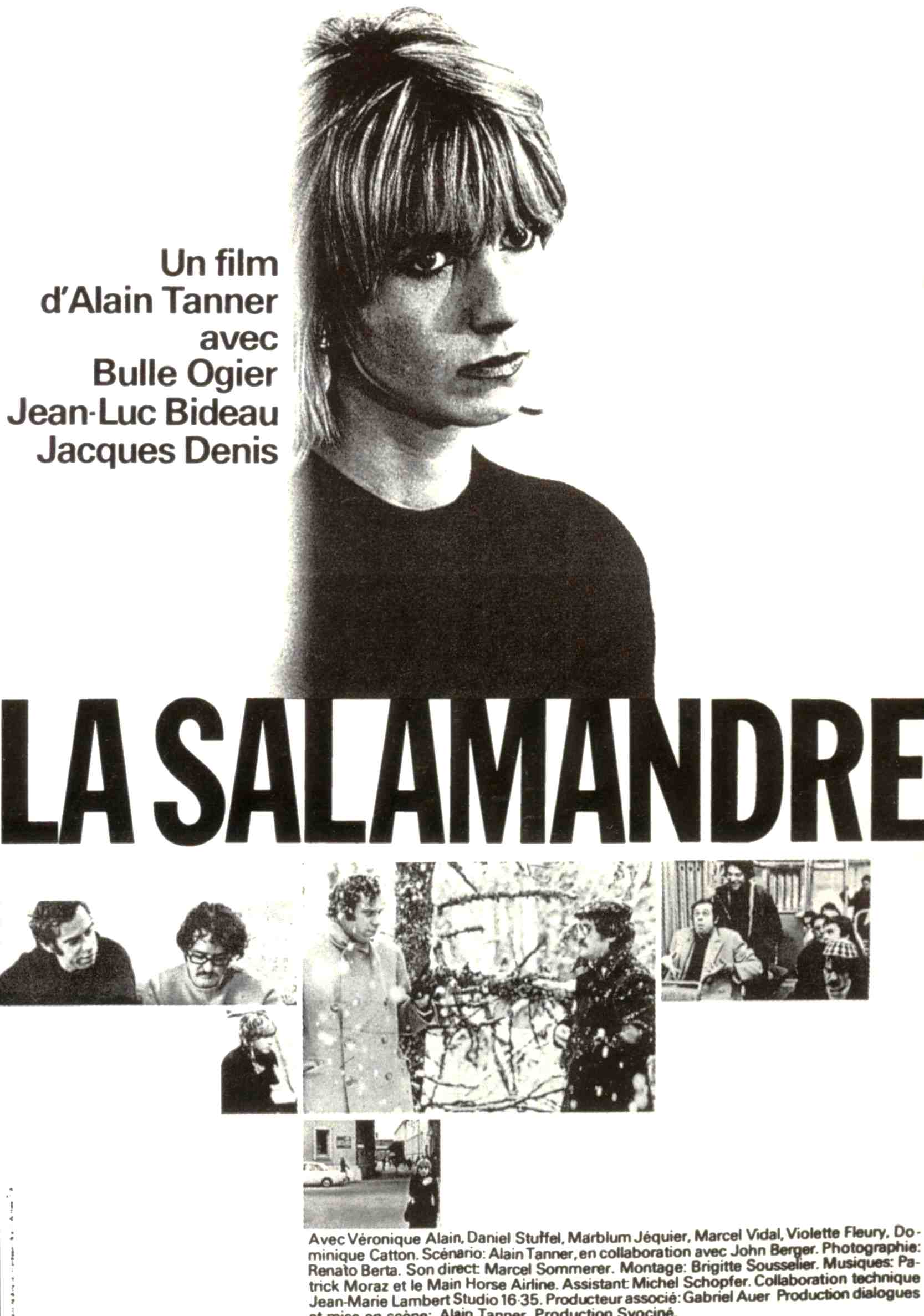 La salamandre - affiche du film
