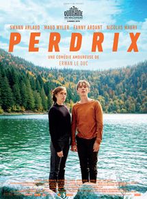 Perdrix - affiche du film
