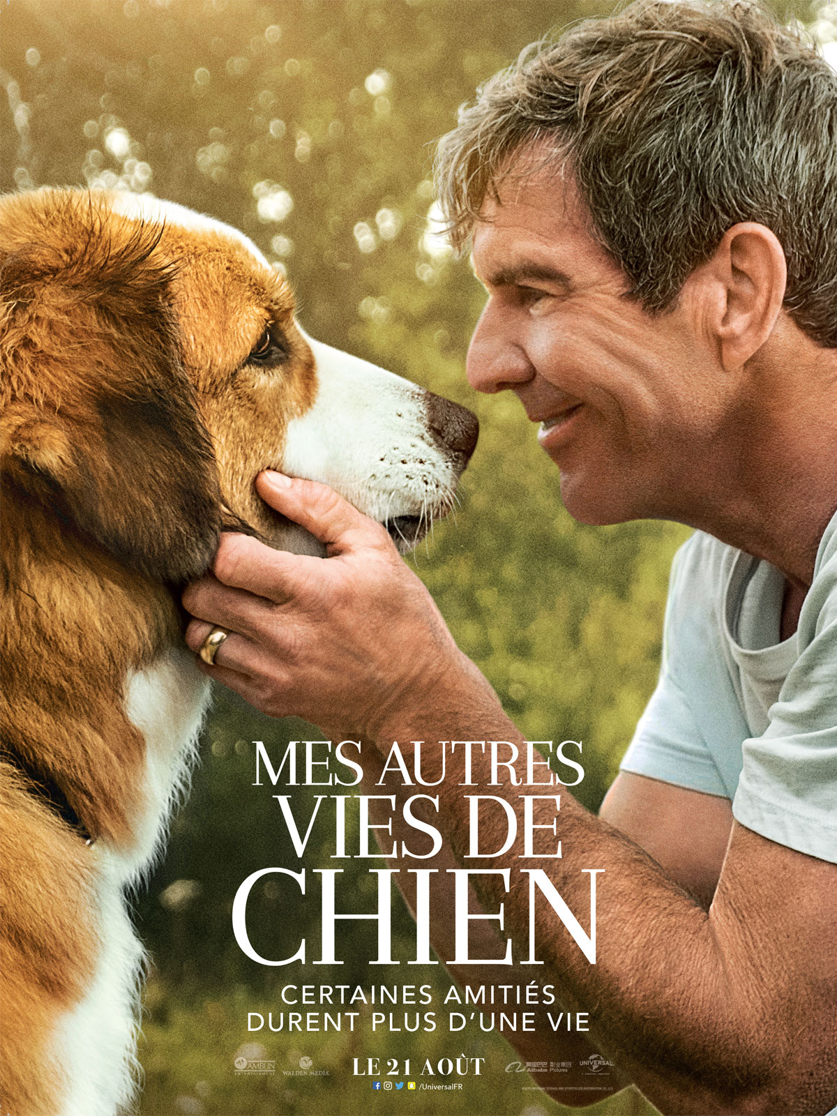 Mes autres vies de chien - affiche du film