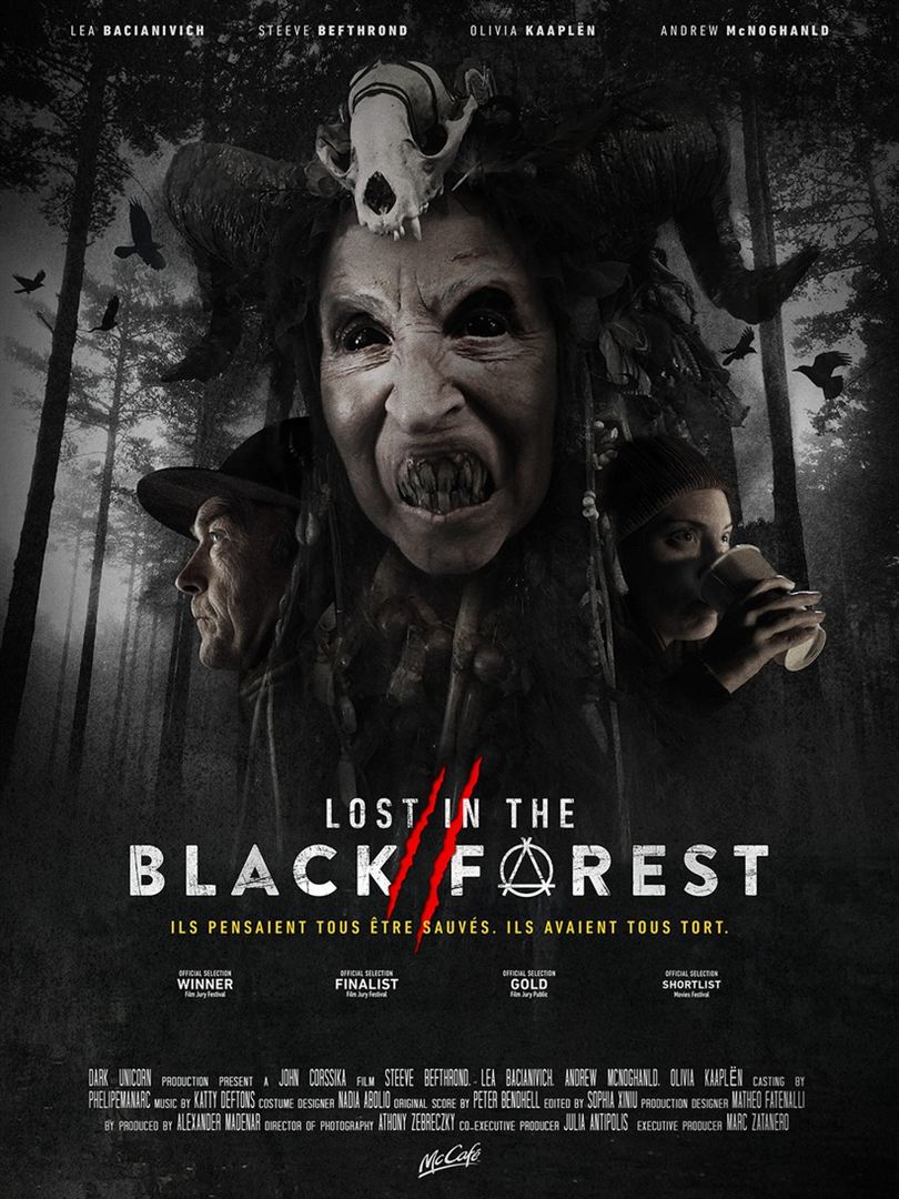 Lost In The Black Forest 2 - affiche du film