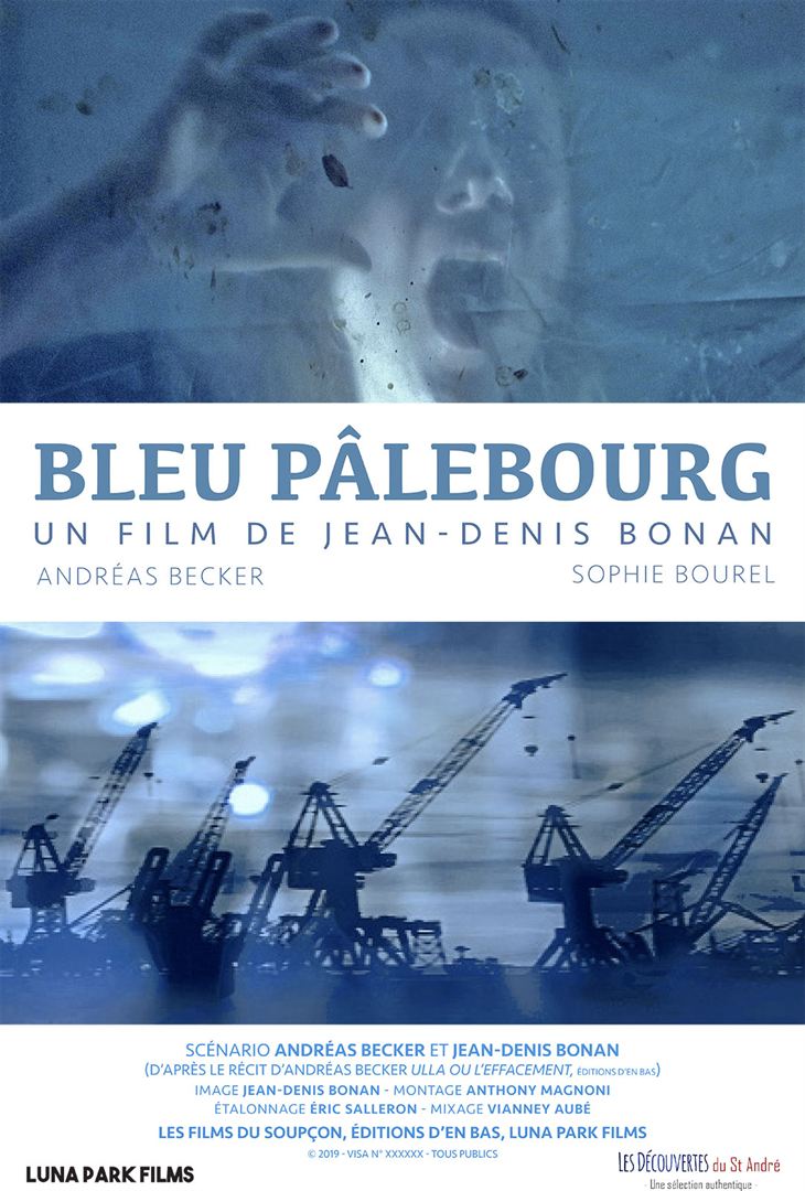 Bleu Plebourg - affiche du film