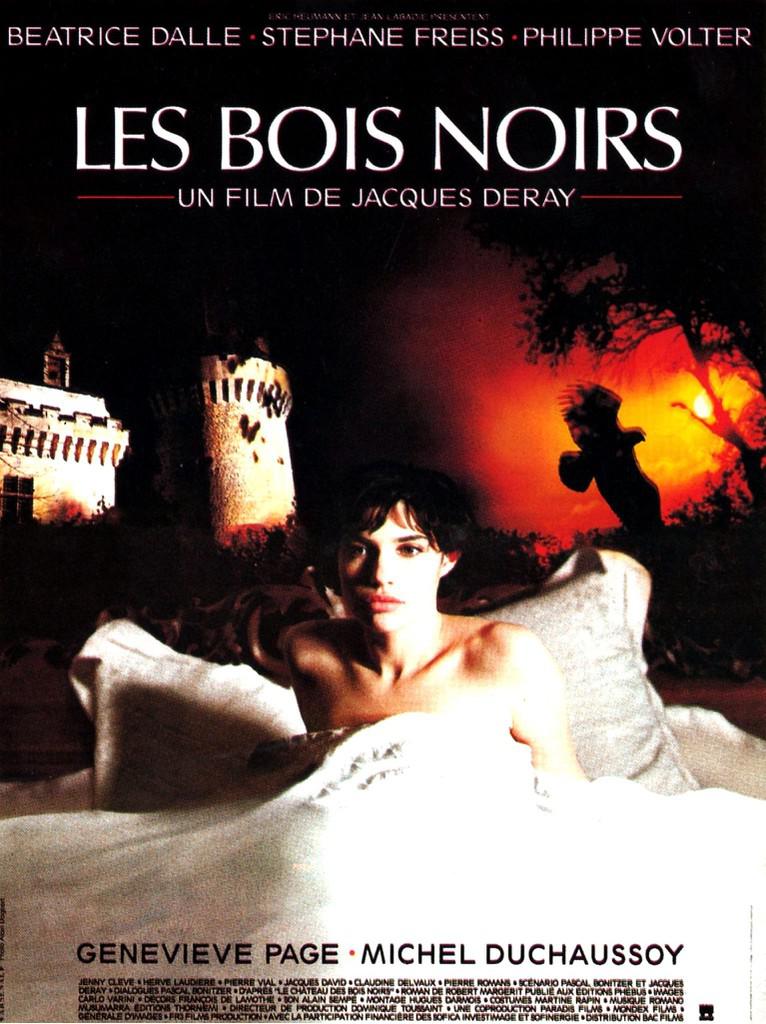 Les bois noirs - affiche du film