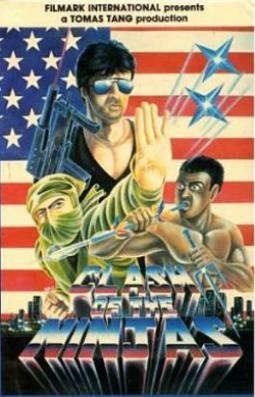 Clash of the Ninjas - affiche du film