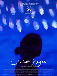 Ceniza negra - affiche du film