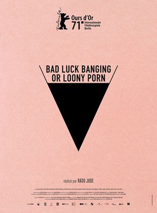 Bad luck banging or loony porn - affiche du film