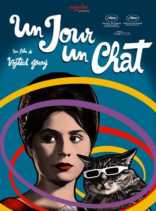 Un jour un chat - affiche du film