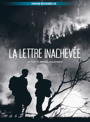 La Lettre inacheve - affiche du film