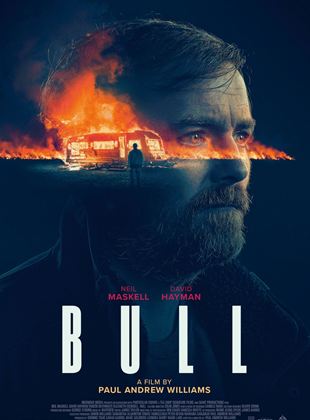 Bull - affiche du film
