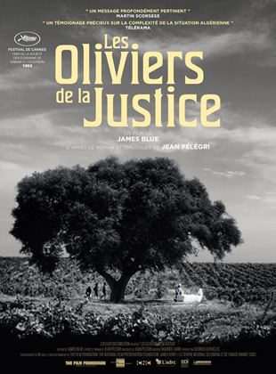 Les Oliviers de la justice - affiche du film