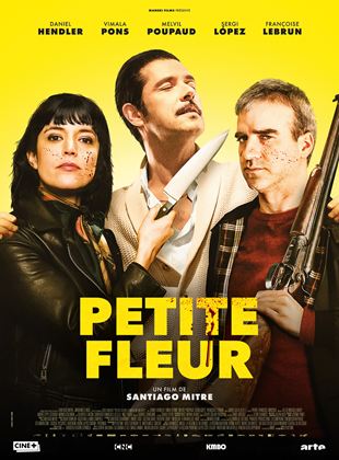 Petite fleur - affiche du film