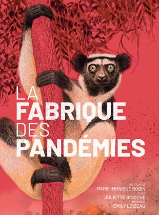 La Fabrique des pandmies - affiche du film