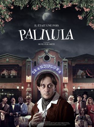 Il tait une fois Palilula - affiche du film