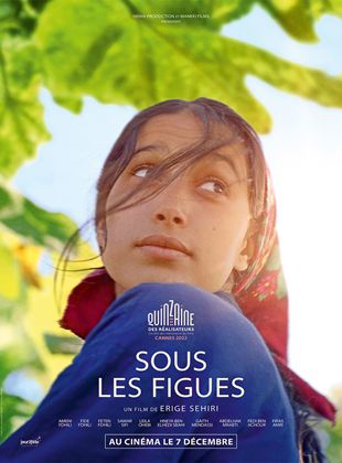 Sous les figues - affiche du film