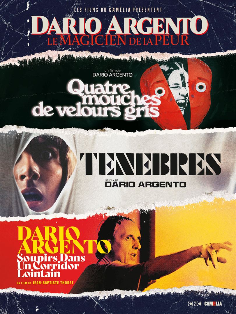 Quatre mouches de velours gris - affiche du film