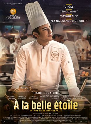 A la Belle toile - affiche du film