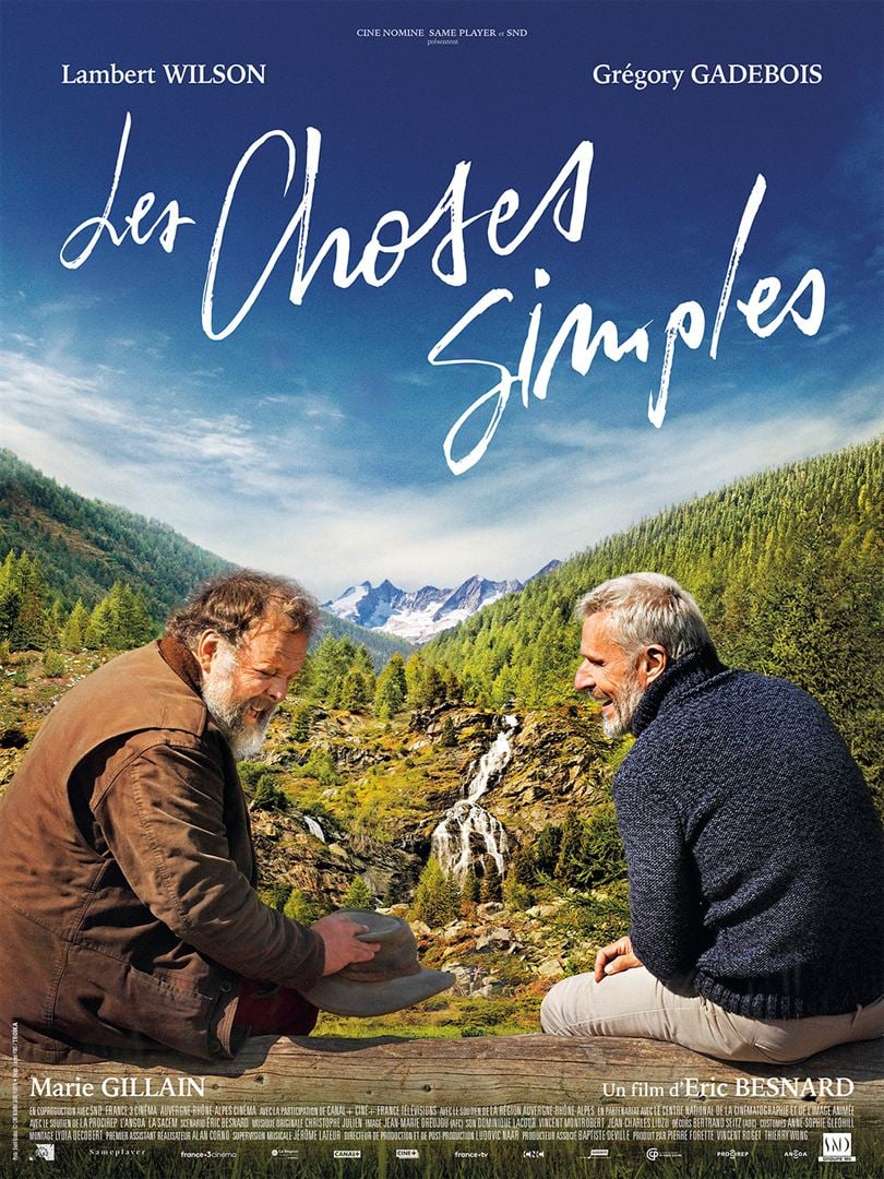 Les choses simples - affiche du film