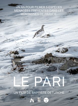Le pari - affiche du film