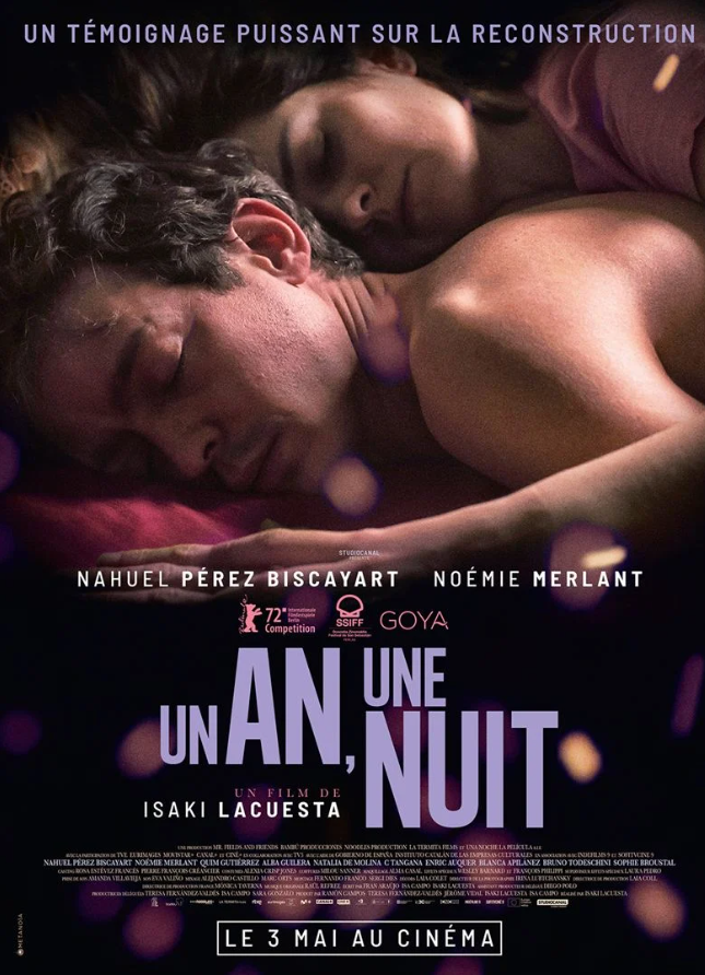 Un an, une nuit - affiche du film