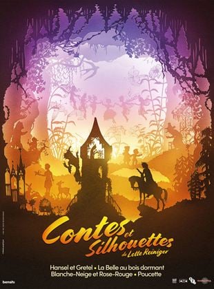 Contes et silhouettes - affiche du film