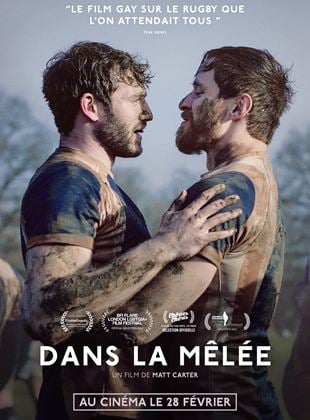 Dans la mle - affiche du film