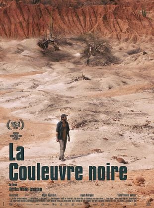 La Couleuvre noire - affiche du film