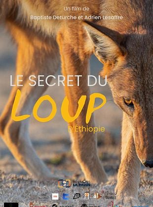 Le Secret du Loup d��thiopie - affiche du film